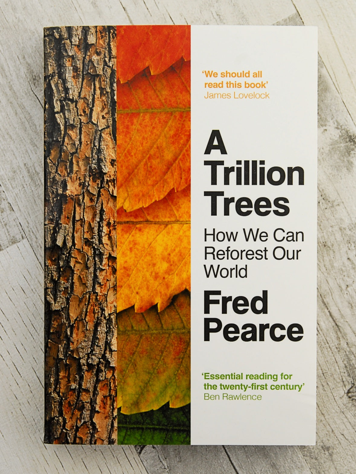 A Trillion Trees: How We Can Reforest Our World