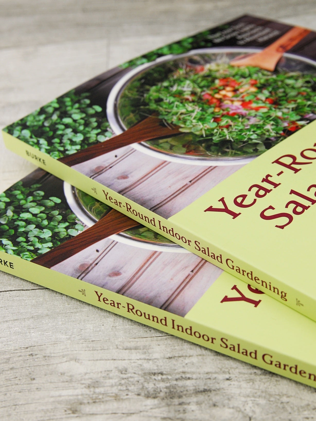 Year-Round Indoor Salad Gardening